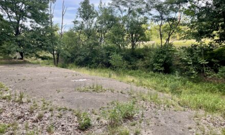 THE BERM