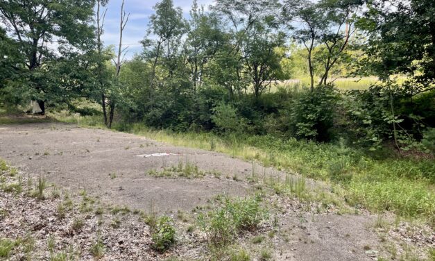 THE BERM